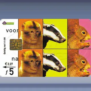 Aap, Das en Eekhoorn (1999)