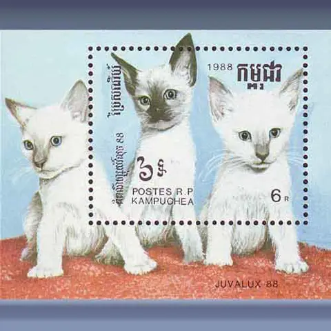 Katten (1988)