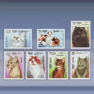 Katten (1988)