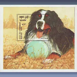 Hond (1990)