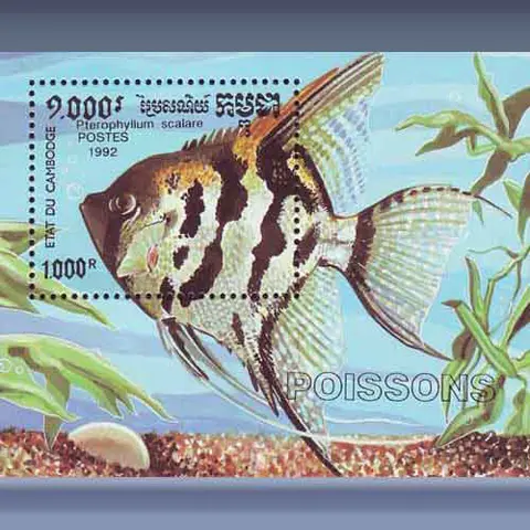 Vis (1992)