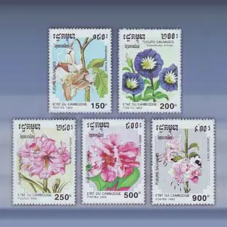 Bloemen (1993)