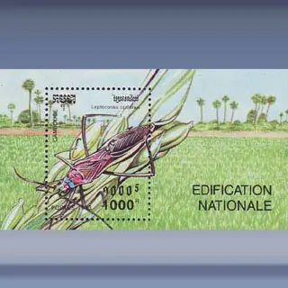 Insecten (1993)