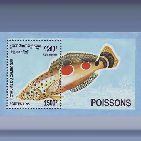 Vissen (1995)