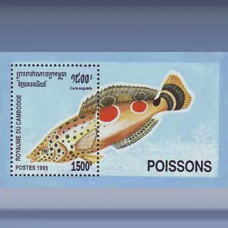Vissen (1995)