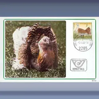 Beschermde dieren I (1982)