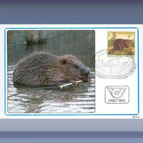 Beschermde dieren II (1982)