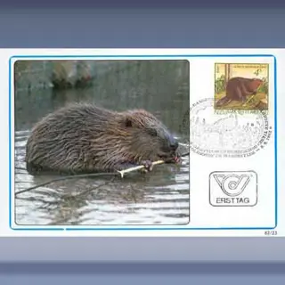 Beschermde dieren II (1982)