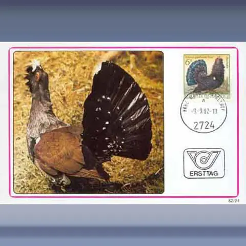 Beschermde dieren III (1982)