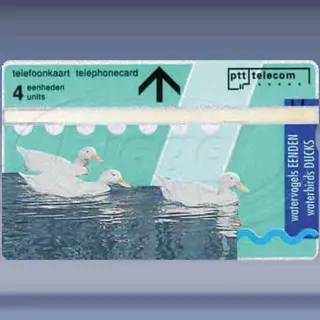 Tele Art 1 (eenden)