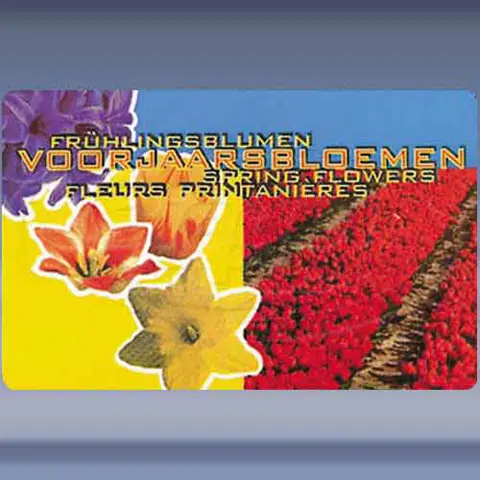 Voorjaarsbloemen (21-3-1996)