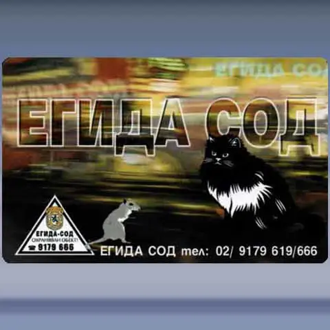 Egida 3 Cat and Mouse (2002)