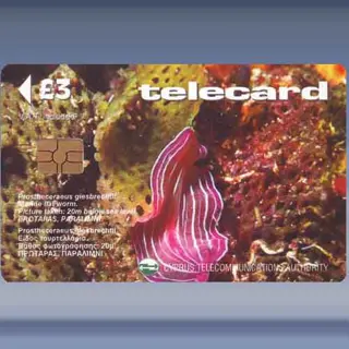 Prostheceraeus Giesbrechtii (1999)