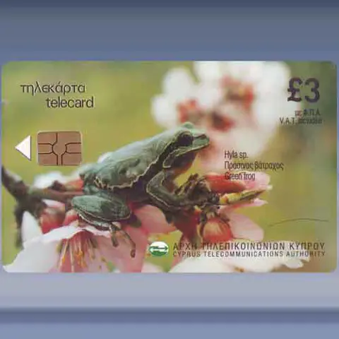 Green Frog (2001)