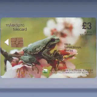 Green Frog (2001)