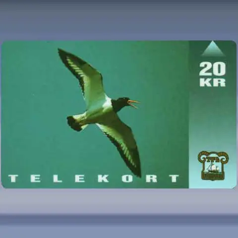 Scholekster (1994)