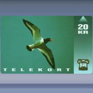 Scholekster (1994)
