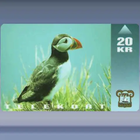 Papegaaiduiker (1994)