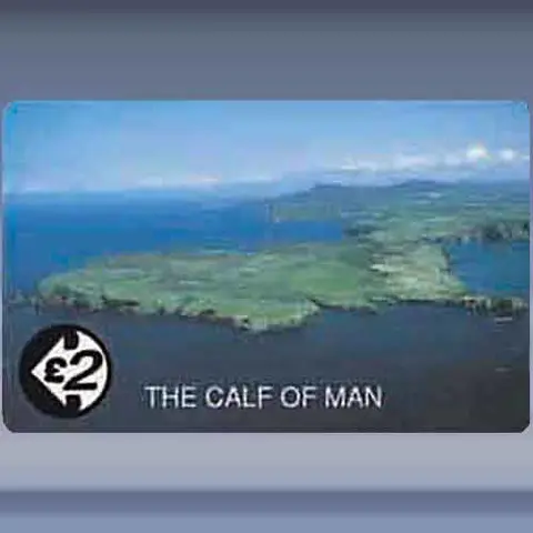 Calf of Man