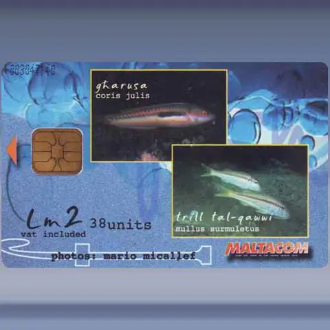 Xirgien (2002)
