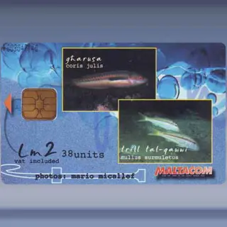 Xirgien (2002)