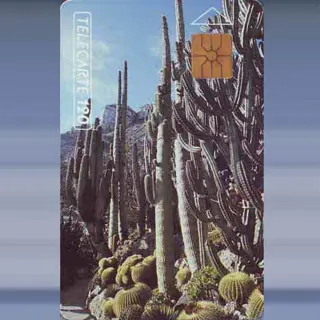Jardin Exotique (aug-91)