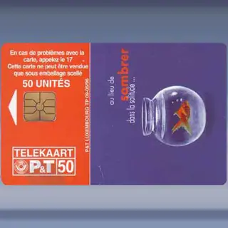 Internet (1996)
