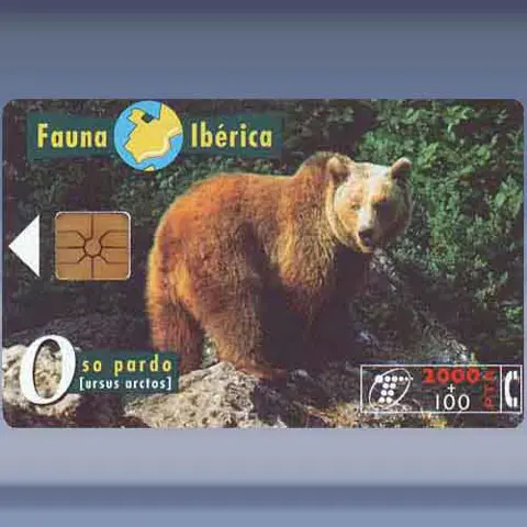 Bruine Beer (1996)