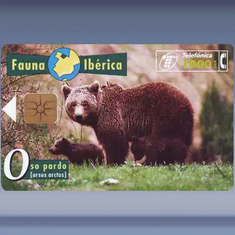Grizzly Bear (1996)
