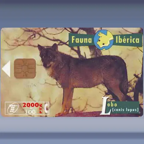 Wolf (1996)
