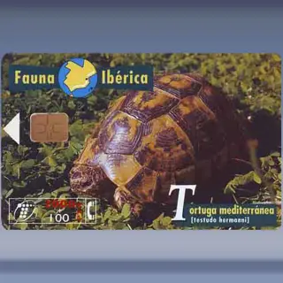 Schildpad (1997)