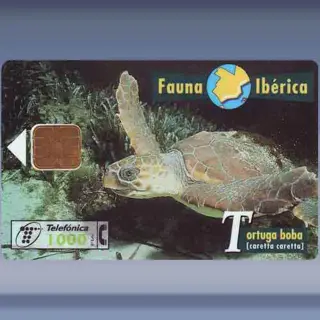 Schildpad (1997)