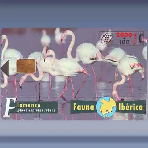 Famingo's (1997)