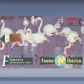 Famingo's (1997)