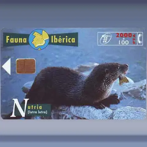 Otter (1997)