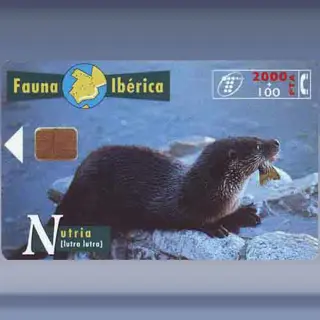 Otter (1997)