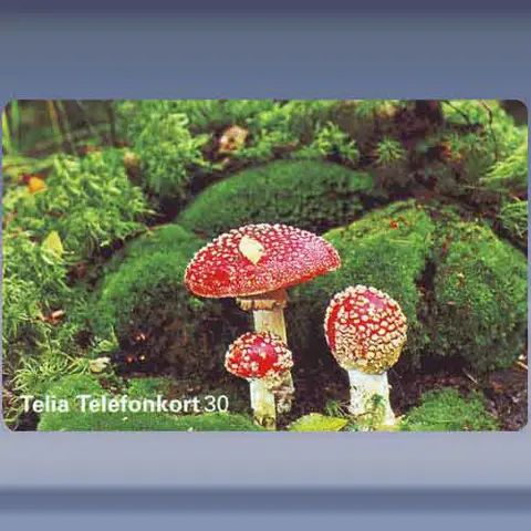Flugsvampar (1995)
