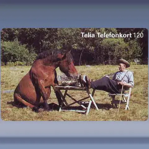 Sittande h&auml;st och man (1996)