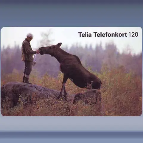 &Ouml;lg Och Man (1996)