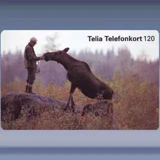 &Ouml;lg Och Man (1996)