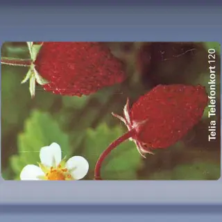 Smultron (1997)