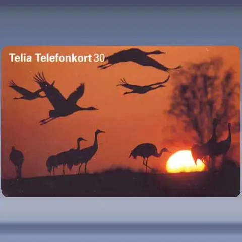 Vogels - Zonsondergang (1997)