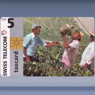 Andalusians (1997)