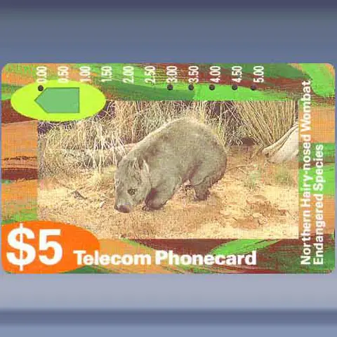 Wombat (1993)