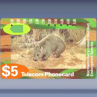 Wombat (1993)