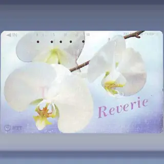 bloemen 0502