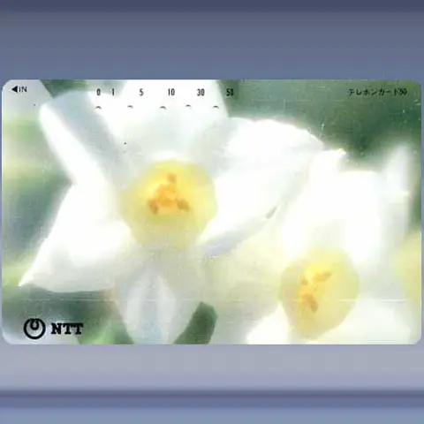 bloemen 0506