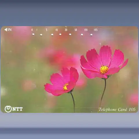 bloemen 0519