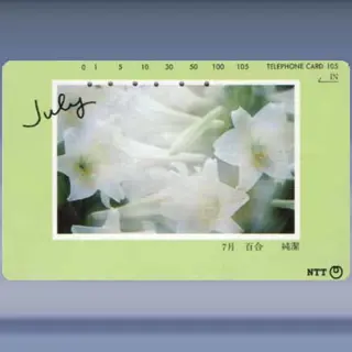 bloemen 0521