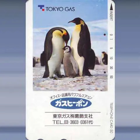 dieren 2521